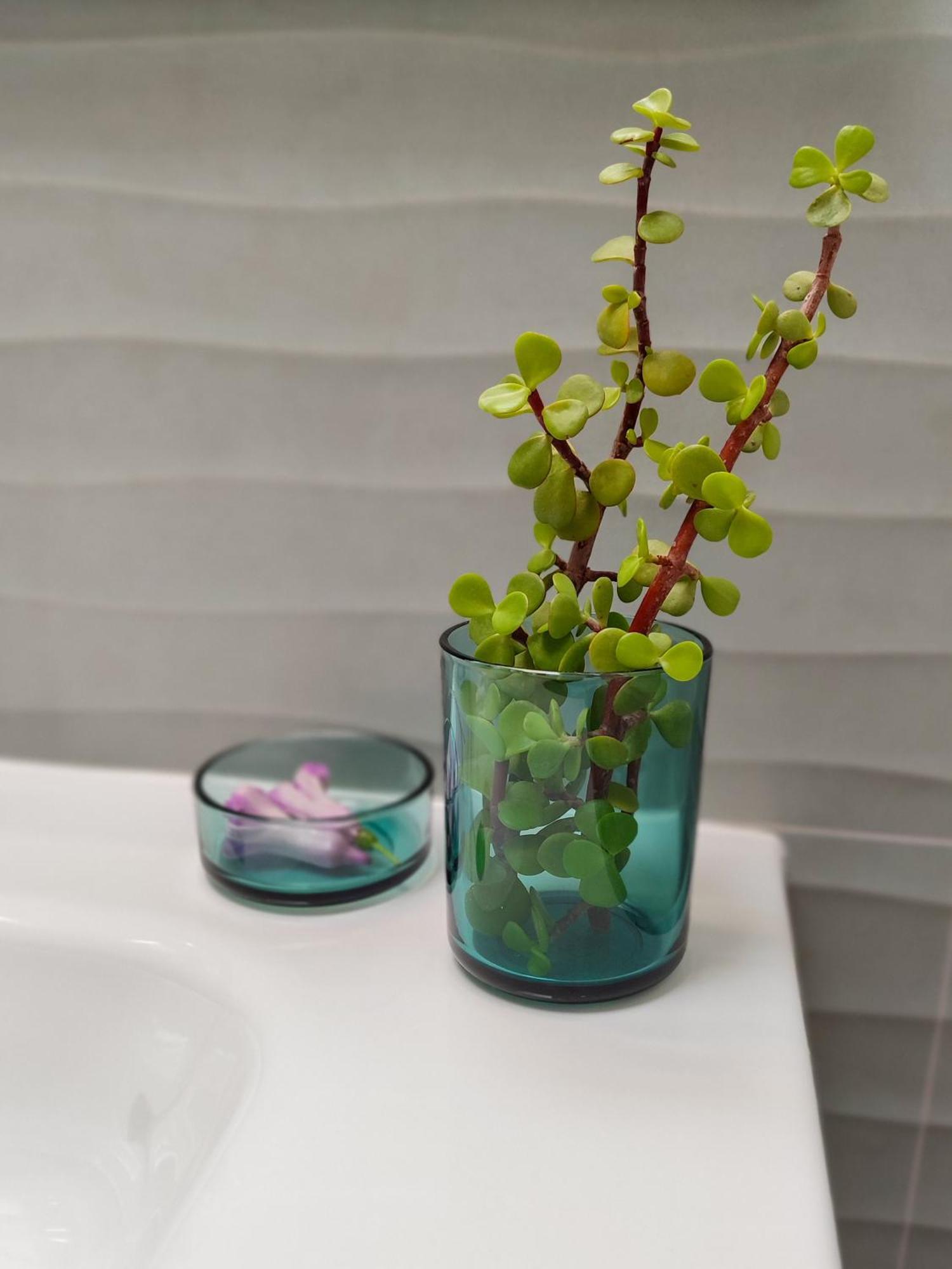 Apartament Casa Oceanica - Lanzarote Puerto del Carmen (Lanzarote)
